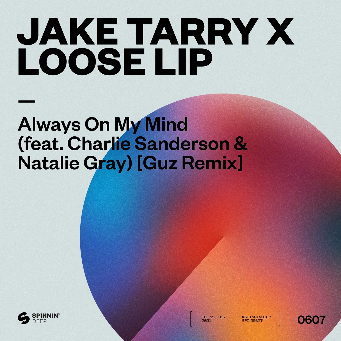 Jake Tarry, Loose Lip - ALWAYS ON MY MIND (FEAT. CHARLIE SANDERSON & NATALIE GRAY) [GUZ EXTENDED REMIX] [190296617560]